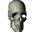 spinning skull